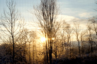 A Winter Dawn
