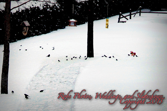 Winter Stuff &/with the Moon at Port Dover & Turkey Point by Lake Erie