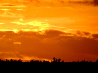 Photos for a Stitch Panorama of the Sunset & the Panorama