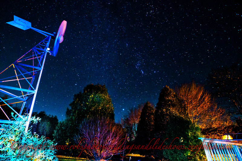 Morning of Nov., 10/20 Orion's Belt & Backyard Trees