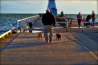 Walking Two French Bull Dogs to the Pier